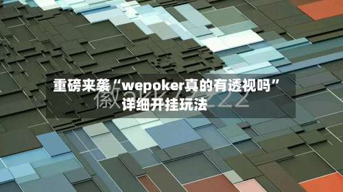 重磅来袭“wepoker真的有透视吗”详细开挂玩法-第2张图片