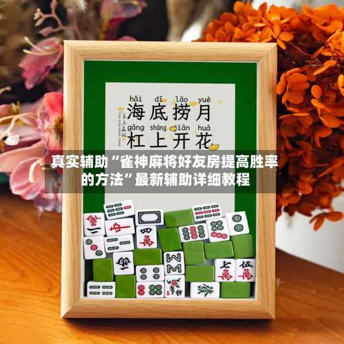 真实辅助“雀神麻将好友房提高胜率的方法”最新辅助详细教程-第2张图片