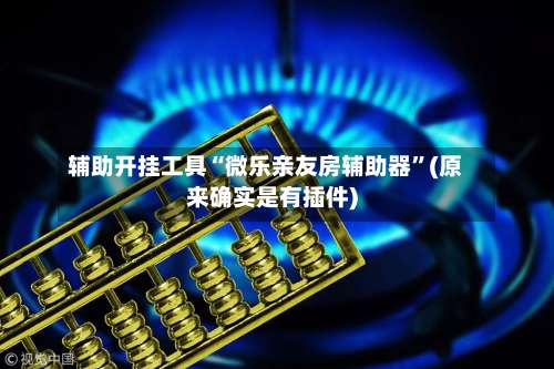 辅助开挂工具“微乐亲友房辅助器”(原来确实是有插件)-第3张图片