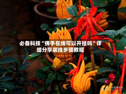 必备科技“佛手在线可以开挂吗”详细分享装挂步骤教程-第3张图片