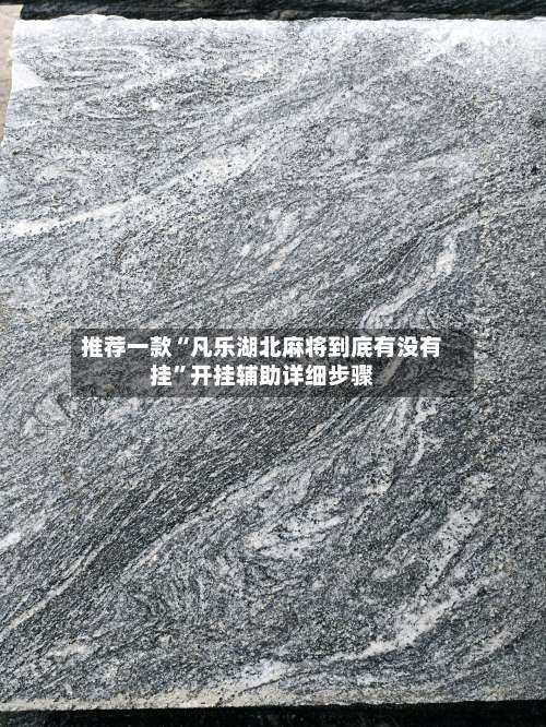 推荐一款“凡乐湖北麻将到底有没有挂”开挂辅助详细步骤-第1张图片