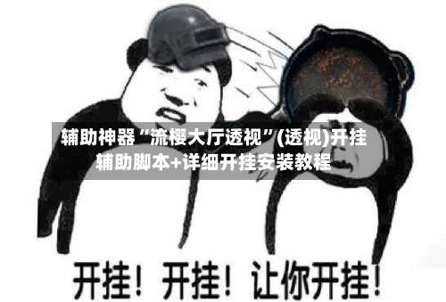 辅助神器“流樱大厅透视”(透视)开挂辅助脚本+详细开挂安装教程-第1张图片