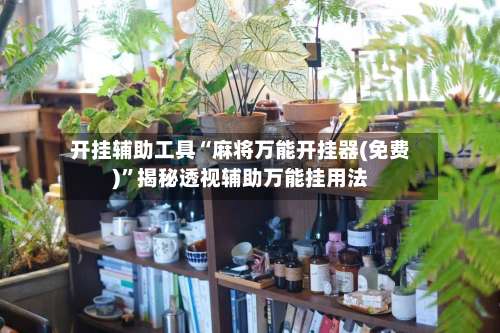 开挂辅助工具“麻将万能开挂器(免费)	”揭秘透视辅助万能挂用法-第2张图片