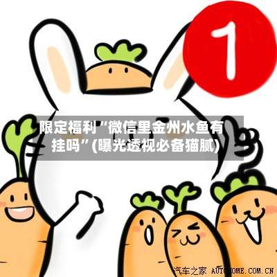 限定福利“微信里金州水鱼有挂吗”(曝光透视必备猫腻)-第1张图片