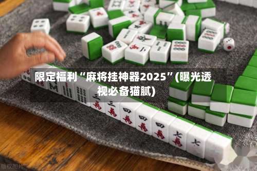 限定福利“麻将挂神器2025”(曝光透视必备猫腻)-第2张图片