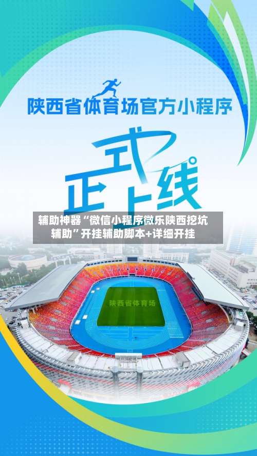 辅助神器“微信小程序微乐陕西挖坑辅助”开挂辅助脚本+详细开挂-第2张图片