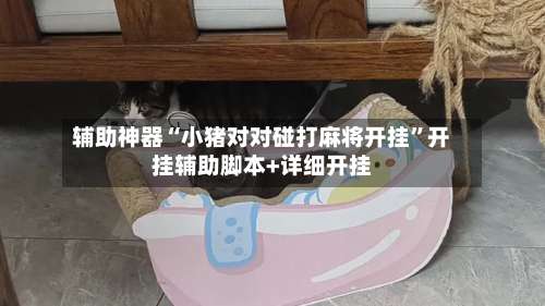 辅助神器“小猪对对碰打麻将开挂”开挂辅助脚本+详细开挂-第1张图片