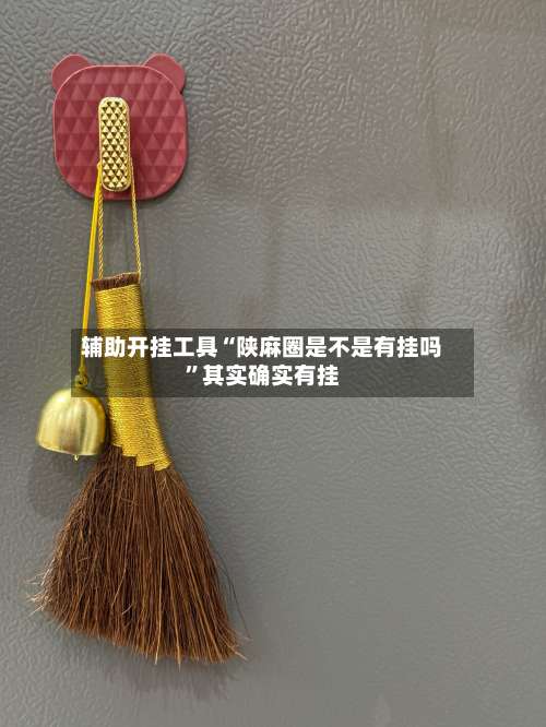 辅助开挂工具“陕麻圈是不是有挂吗”其实确实有挂-第1张图片