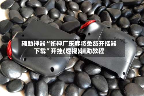 辅助神器“雀神广东麻将免费开挂器下载	”开挂(透视)辅助教程-第1张图片