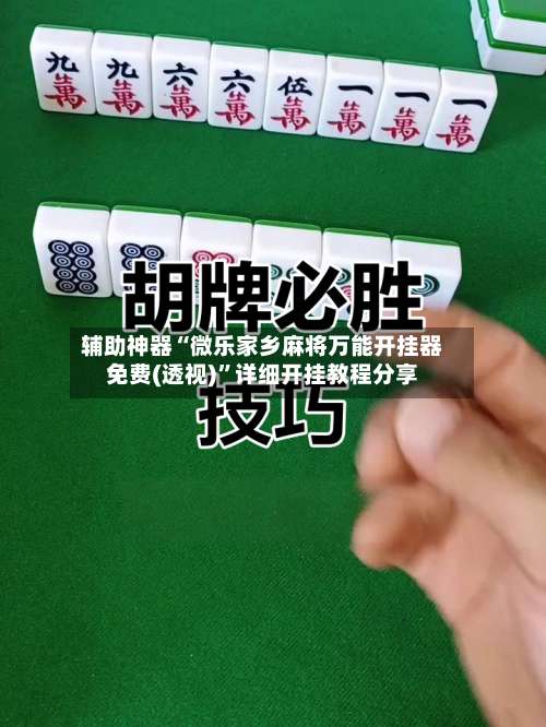 辅助神器“微乐家乡麻将万能开挂器免费(透视)	”详细开挂教程分享-第1张图片