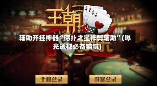 辅助开挂神器“德扑之星作弊辅助”(曝光透视必备猫腻)-第2张图片