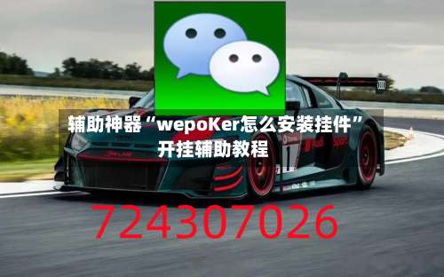 辅助神器“wepoKer怎么安装挂件”开挂辅助教程-第2张图片