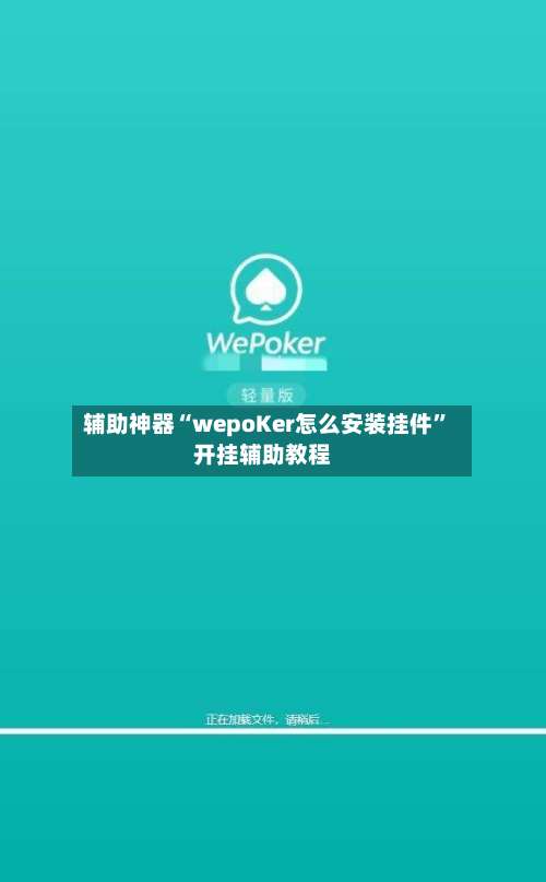 辅助神器“wepoKer怎么安装挂件	”开挂辅助教程-第3张图片
