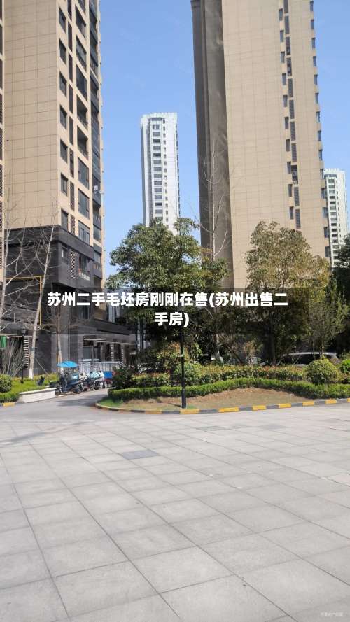 苏州二手毛坯房刚刚在售(苏州出售二手房)-第2张图片