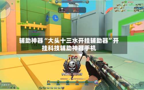 辅助神器“大头十三水开挂辅助器”开挂科技辅助神器手机-第1张图片
