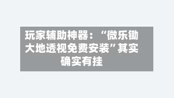 玩家辅助神器：“微乐锄大地透视免费安装”其实确实有挂-第1张图片