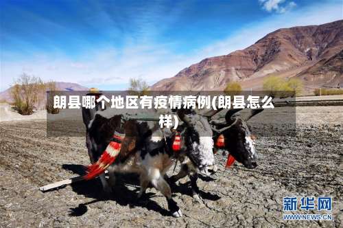 朗县哪个地区有疫情病例(朗县怎么样)-第1张图片