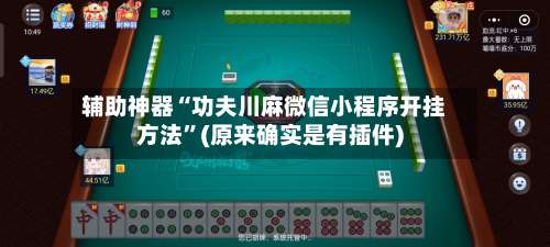 辅助神器“功夫川麻微信小程序开挂方法	”(原来确实是有插件)-第2张图片