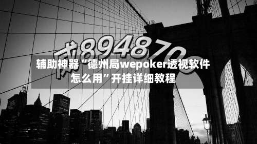 辅助神器“德州局wepoker透视软件怎么用	”开挂详细教程-第1张图片