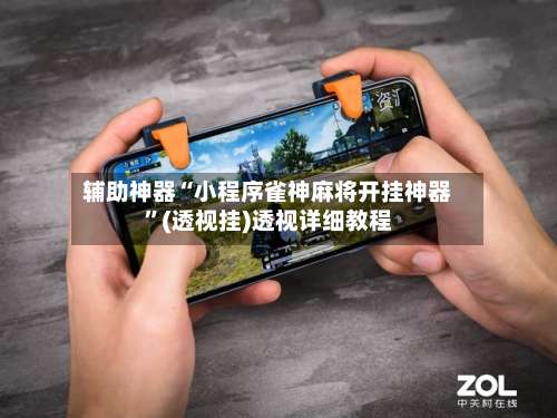 辅助神器“小程序雀神麻将开挂神器	”(透视挂)透视详细教程-第2张图片