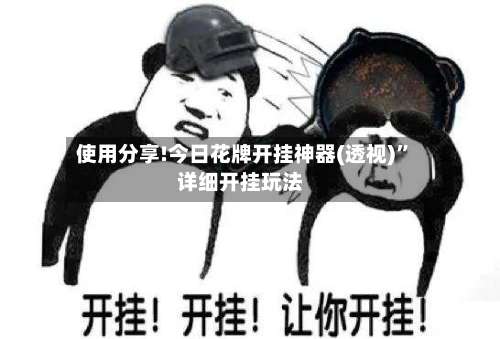 使用分享!今日花牌开挂神器(透视)”详细开挂玩法-第2张图片