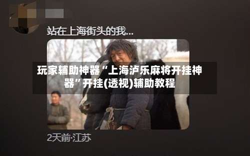 玩家辅助神器“上海泸乐麻将开挂神器	”开挂(透视)辅助教程-第2张图片