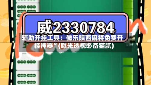 辅助开挂工具：微乐陕西麻将免费开挂神器”(曝光透视必备猫腻)-第1张图片