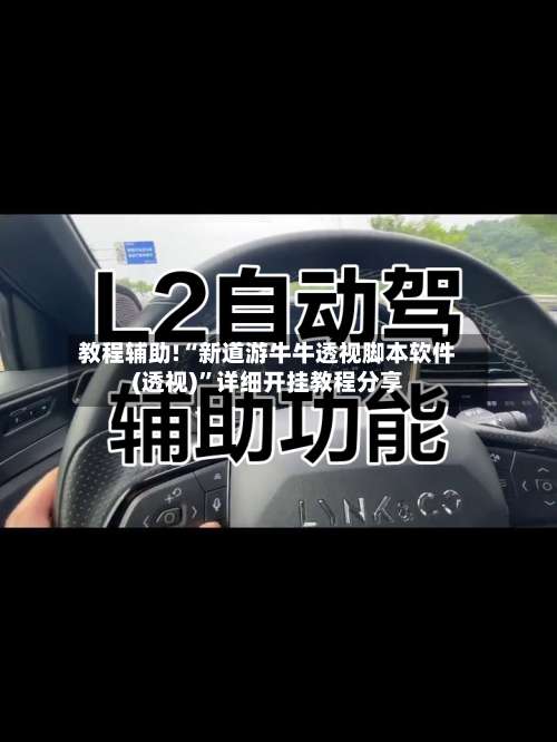 教程辅助!“新道游牛牛透视脚本软件(透视)”详细开挂教程分享-第3张图片