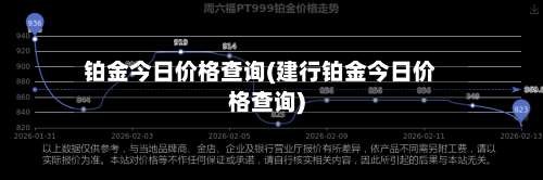 铂金今日价格查询(建行铂金今日价格查询)-第3张图片