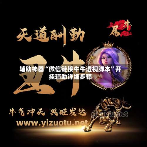 辅助神器“微信链接牛牛透视脚本”开挂辅助详细步骤-第2张图片