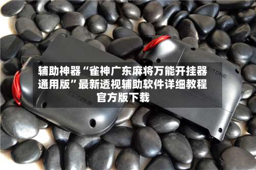 辅助神器“雀神广东麻将万能开挂器通用版	”最新透视辅助软件详细教程官方版下载-第2张图片