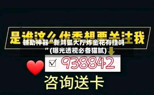 辅助神器“新鸿狐大厅炸金花有挂吗”(曝光透视必备猫腻)-第3张图片