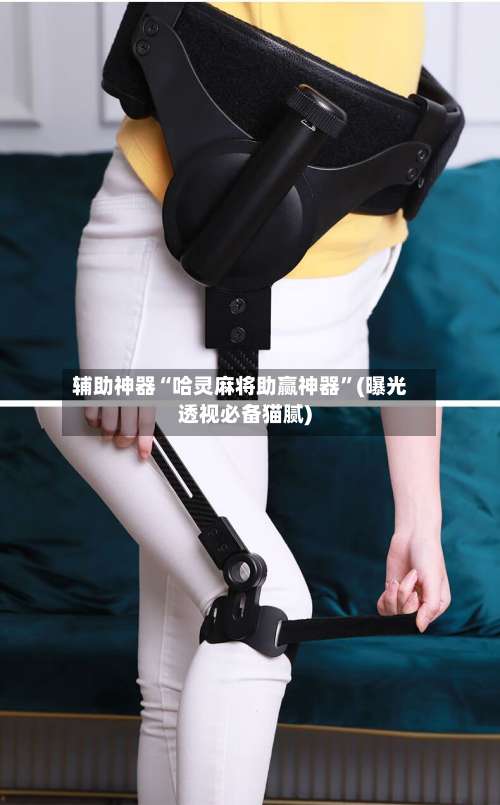 辅助神器“哈灵麻将助赢神器”(曝光透视必备猫腻)-第2张图片