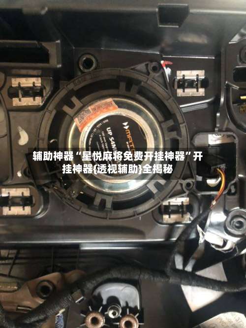 辅助神器“星悦麻将免费开挂神器”开挂神器{透视辅助}全揭秘-第1张图片