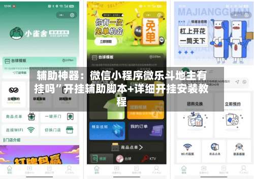 辅助神器：微信小程序微乐斗地主有挂吗	”开挂辅助脚本+详细开挂安装教程-第2张图片