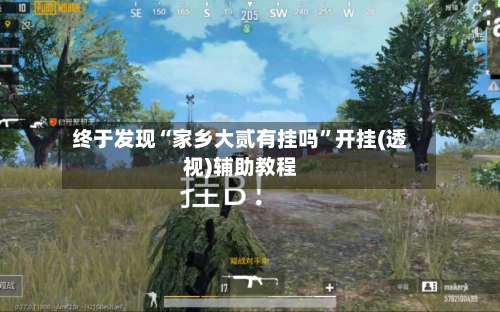 终于发现“家乡大贰有挂吗”开挂(透视)辅助教程-第2张图片