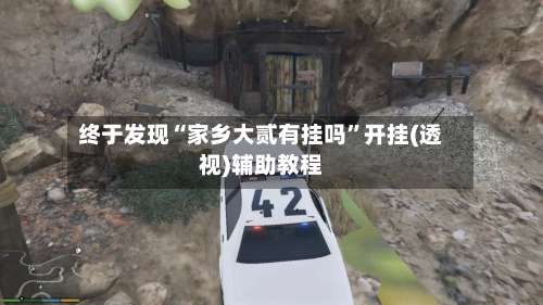 终于发现“家乡大贰有挂吗”开挂(透视)辅助教程-第3张图片