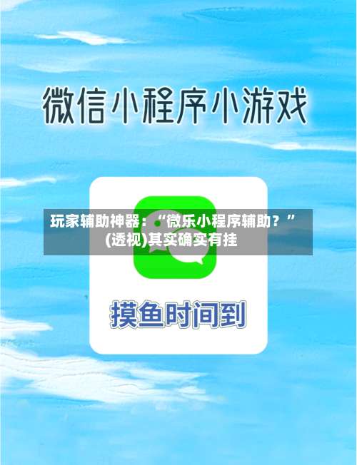 玩家辅助神器：“微乐小程序辅助？	”(透视)其实确实有挂-第1张图片