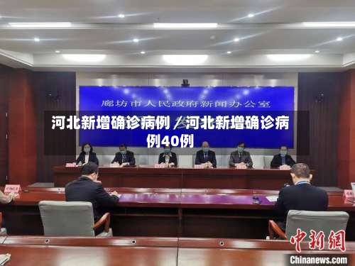 河北新增确诊病例／河北新增确诊病例40例-第3张图片