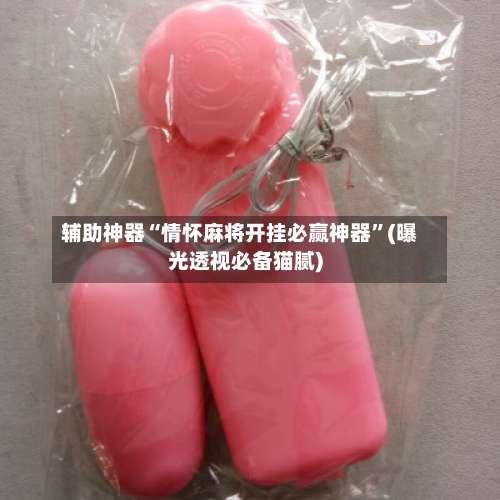 辅助神器“情怀麻将开挂必赢神器”(曝光透视必备猫腻)-第1张图片