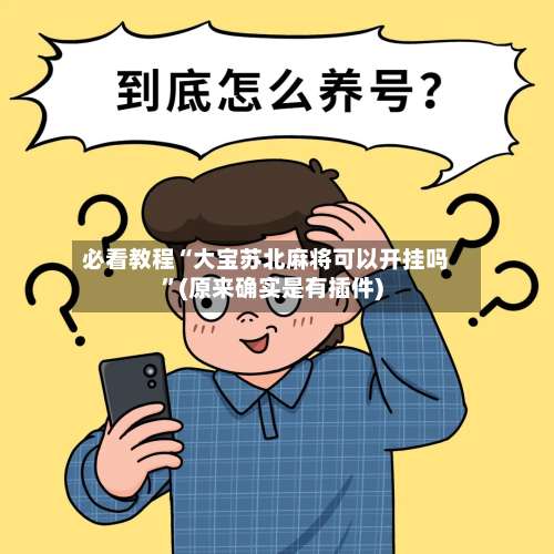 必看教程“大宝苏北麻将可以开挂吗	”(原来确实是有插件)-第3张图片