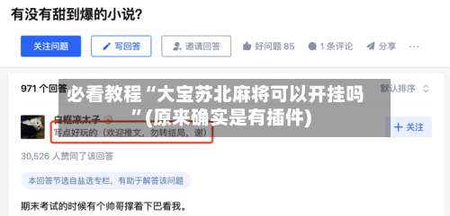 必看教程“大宝苏北麻将可以开挂吗”(原来确实是有插件)-第2张图片