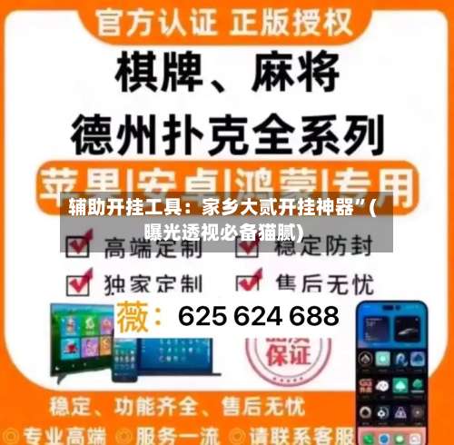 辅助开挂工具：家乡大贰开挂神器”(曝光透视必备猫腻)-第1张图片