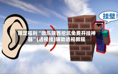 限定福利“微乐陕西挖坑免费开挂神器”(透视挂)辅助透视教程-第3张图片