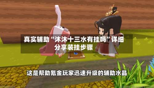 真实辅助“沐沐十三水有挂吗”详细分享装挂步骤-第3张图片