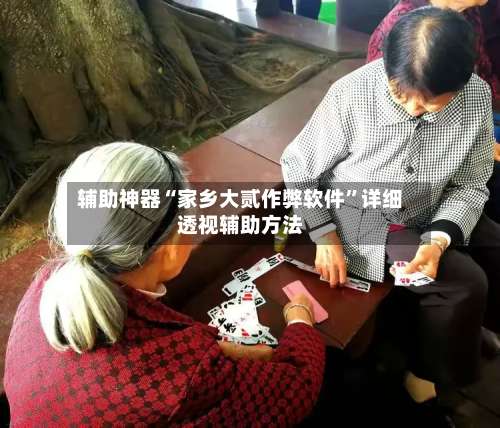 辅助神器“家乡大贰作弊软件”详细透视辅助方法-第2张图片