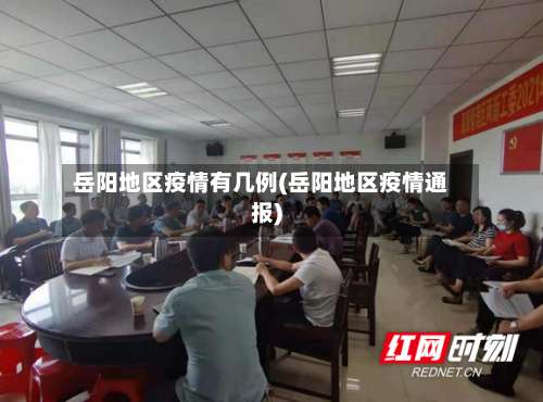 岳阳地区疫情有几例(岳阳地区疫情通报)-第2张图片