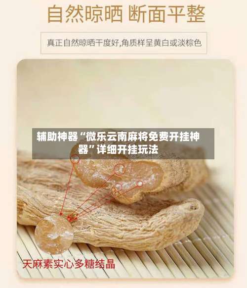 辅助神器“微乐云南麻将免费开挂神器	”详细开挂玩法-第1张图片