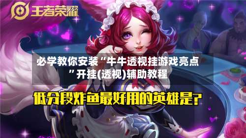 必学教你安装“牛牛透视挂游戏亮点	”开挂(透视)辅助教程-第2张图片