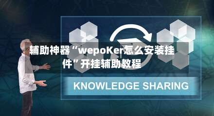 辅助神器“wepoKer怎么安装挂件”开挂辅助教程-第1张图片